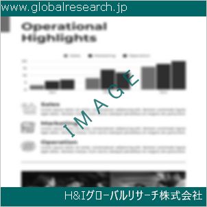 グローバルリサーチ調査資料のイメージ